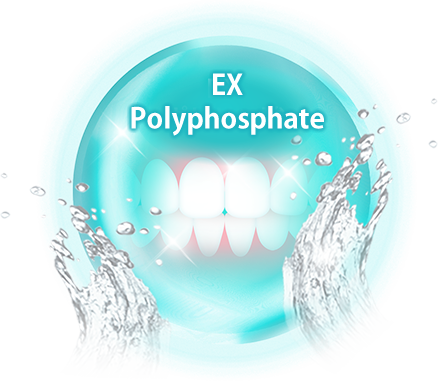 EX-Polyphosphate barrier prevents this dehydration by remaining on the teeth’s surface to guard from stains returning